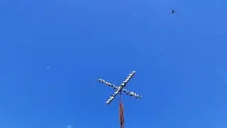 15.08.2024 г Обоз голубей и их подъём 👍