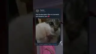 Seni Asla bırakmam 💕