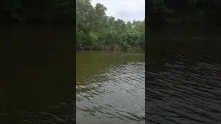 Ship journey - sri lanka⛴️