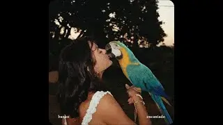 brazilian funk Type Beat "Encantado"