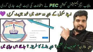 PEC 3rd term Date sheet February 2024 | How to generate [ Download ] PEC 3rd term SBA Papers 2024