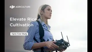 Elevate Rice Cultivation in Brazil