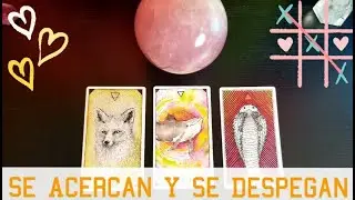 Pensamientos 💭 Sentimientos 🧐 Lo Que No Comparten Con Tigo? 🌶 Interactivo