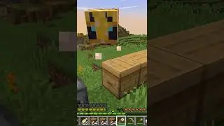 ABEJAS ASESINAS