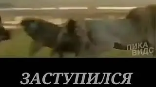 2 братья