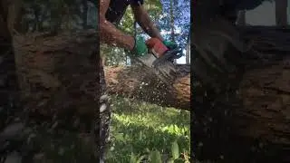 Штиль в работе 💥