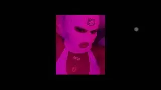 IMG 0872