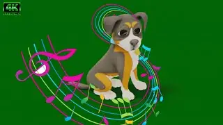 Dog Chroma key | Animal Greenscreen | Cute Pet Green Screen Chromakey