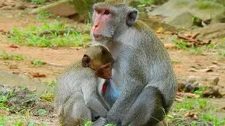 Janet always had sweet care from mom thank you mom Jane / Monkey Post
