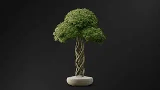 Bonsai Interior Plant 06   Preview Animation