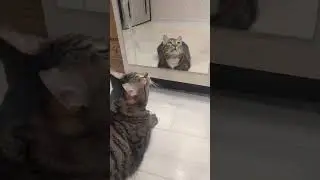 У вас так же? 😅