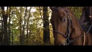 SEABISCUIT de GARY ROSS 2003