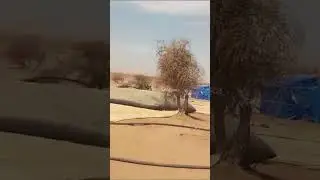 🇲🇱 🇷🇺 Местные сняли в малийской провинции колонну вагнеровцев