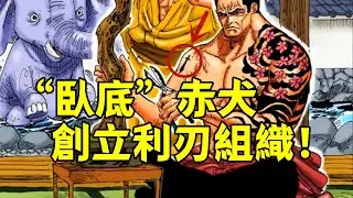 赤犬也是臥底，“利刃”組織可能就是他創立的【阿金很忙】