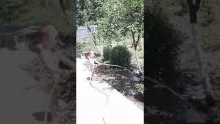 Маленький садовод