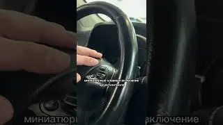 Большой, семейный, семиместный...  | РДМ-Импорт 