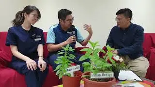 Understand the  relationship between Scent and Dementia?(The Enabling Festival 2023/24)