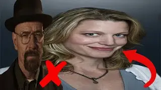 Breaking bad Skyler if Walt didn't exist