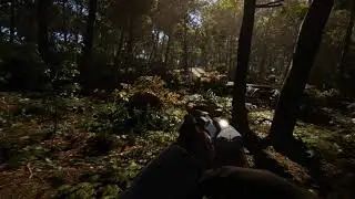 SCUM - ULTRA GRAPHICS SETTINGS!!!