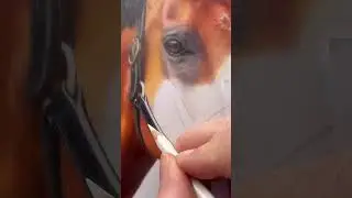 Learn to Draw Realistic Leather in Coloured Pencil🥰 Free Live Draw Along #livedraw #drawingtutorial