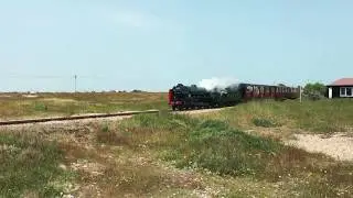 Steam train arriving at Dungeness
