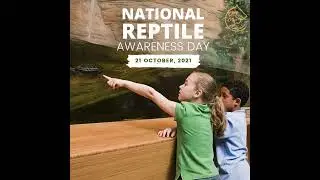 Happy Reptile Awareness Day