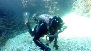 pula