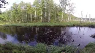 Моя любимая речушка. Часть1