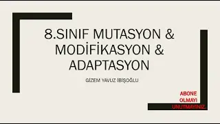 8 SINIF MUTASYON  & MODİFİKASYON & ADAPTASYON