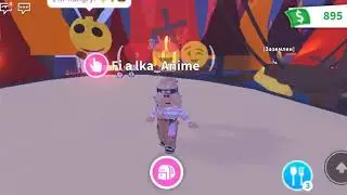 Untitled video