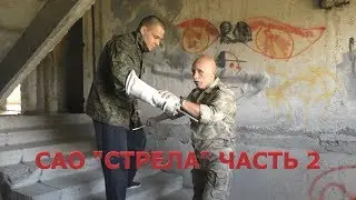 Боевые искусства - инструкция к применению: САО 