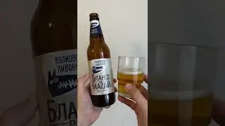 Бланш De Mazaй | Hoppy Wheat Ale | Волковская Пивоварня #пиво #shorts #beer #алкополка #shortsvideo