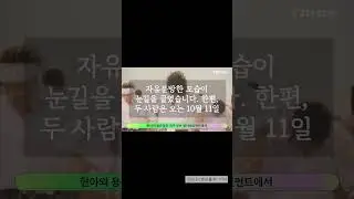 '10월 결혼' 현아♥용준형, 진한 키스...웨딩화보도 '아찔'