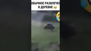 Обычное развлечение в деревне #shorts #ржакадослез