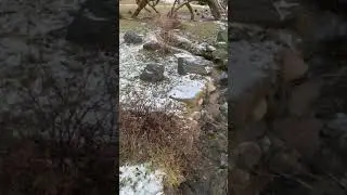 Ручей в welna (помпа для ручья)