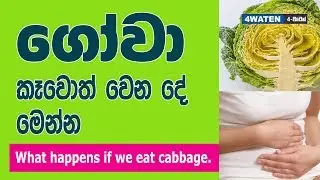 ගෝවා කෑවොත් වෙන දේවල් මෙන්න : Benefits of Cabbage