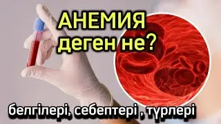 АНЕМИЯ деген не? Белгілері, себептері, түрлері, емі. Денсаулық арнасы. Денсаулық