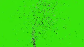 Storm of Dust Particles Green Screen