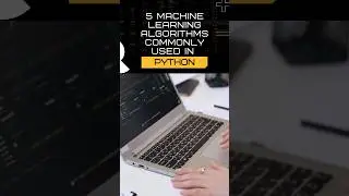 Top 5 Machine Learning Algorithms in Python: Explained Simply