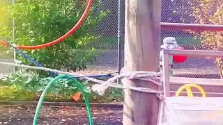 When I was 2 years old
