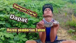 Hasil perjuangan dan doa..Ketemu Rawa sarang Gabus.. Langsung Hajar pake Jala..Begini hasilnya