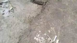 Яковенково раскопки