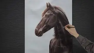 Die Geschichte eines Portraitauftrags: Morko, das Pferd aus TikTok