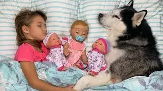 Sophia and the Best Adventures with Pets