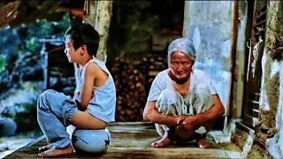 The Way Home A Grandmother's Love That Changed a Boy Forever