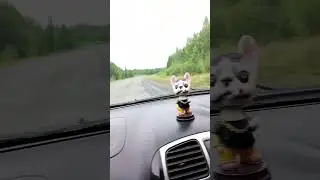 Едем на поезд🚝 #поезд #поездка