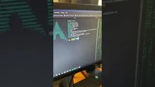 I use Arch BTW