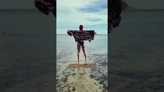 Номера с видом