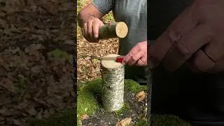 Survival Skills: Incredible Knife Lifehack for Extreme Condition. 