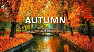 Beginning of Autumn - Peaceful Soothing Music, Stop Overthinking September Autumn Leaves